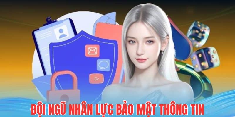 Nhân lực thực thi chính sách có trình độ và chuyên môn cao