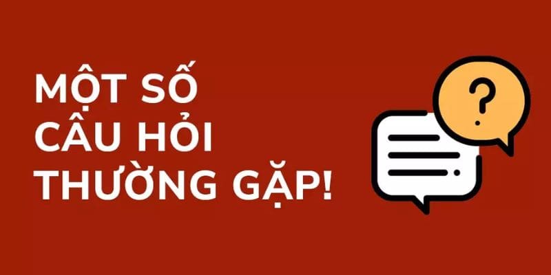 Câu hỏi thường gặp 6686 luôn hỗ trợ tốt quá trình cược