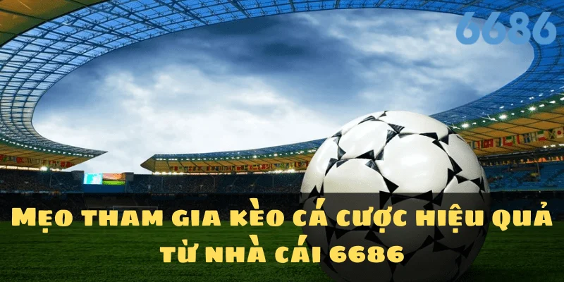 Mẹo tham gia kèo cá cược hiệu quả từ nhà cái 6686